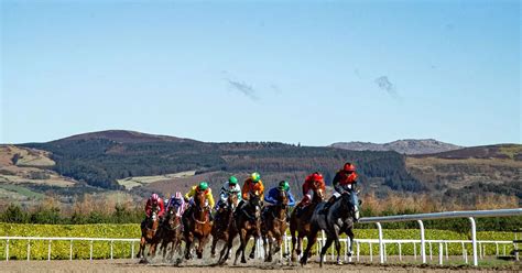 dundalk horse racing results|Latest Dundalk Horse Racing Results .